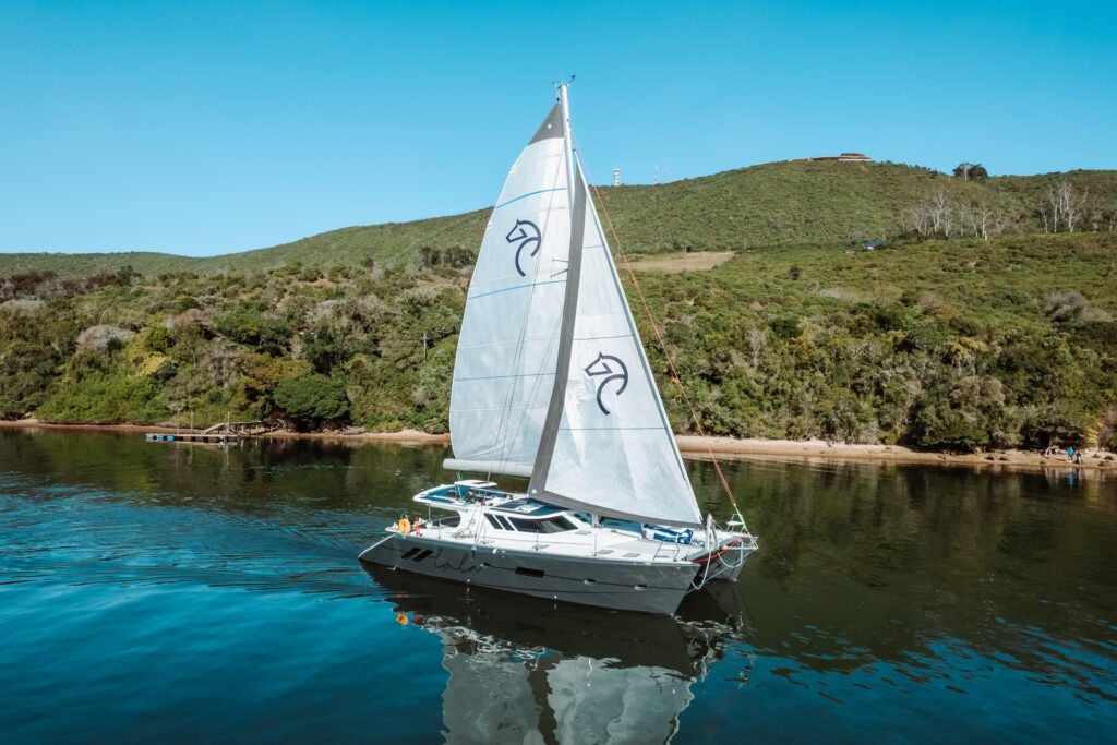 knysna catamaran