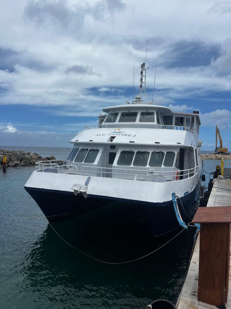 2000 Custom Pech Alu Power Catamaran M.C. Inspire 2