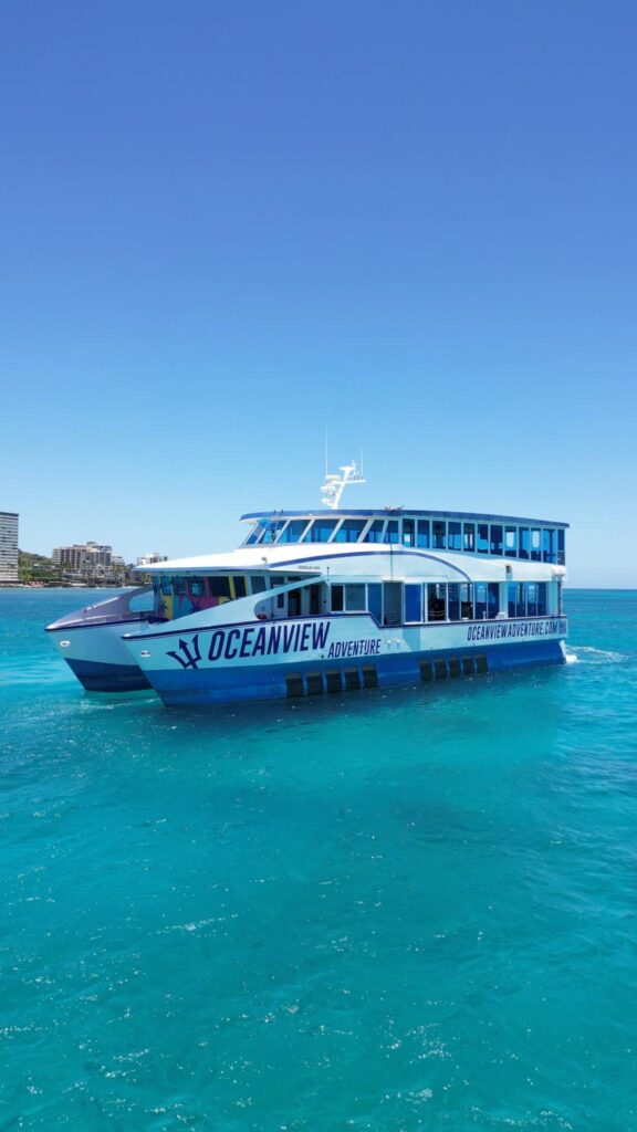 2010 Custom Semi Sub Power Catamaran
