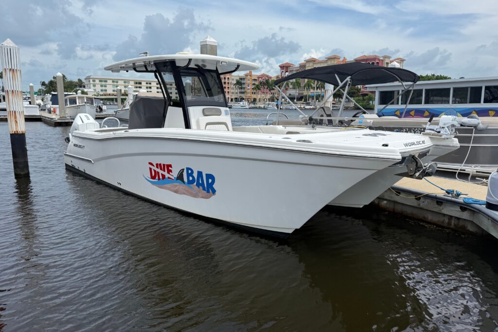 2023 World Cat 280 CC-X Dive Bar