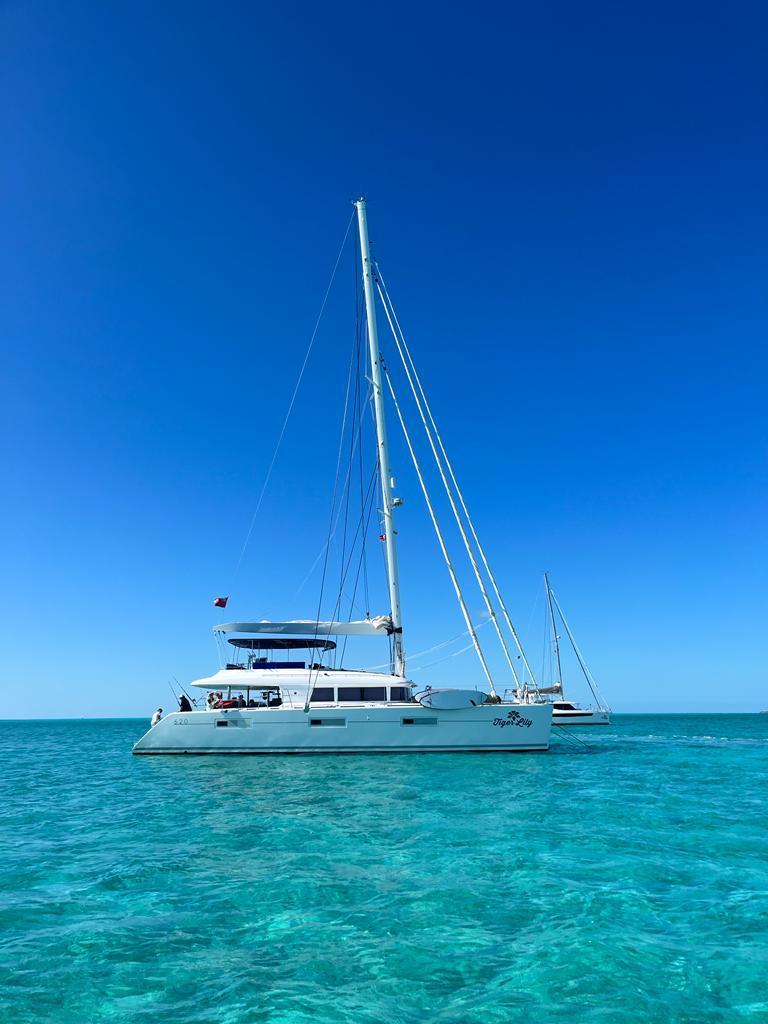 2015 Lagoon 620 TIGER LILY